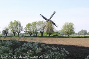 17 mei 2012: Dauwdraaien op Hemelvaartdag