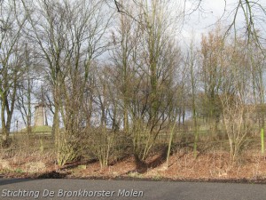 5 februari 2010: School De Boom in bij Bronkhorster Molen