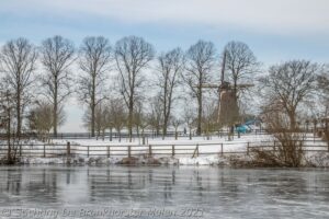 Genieten van sneeuw en ijs